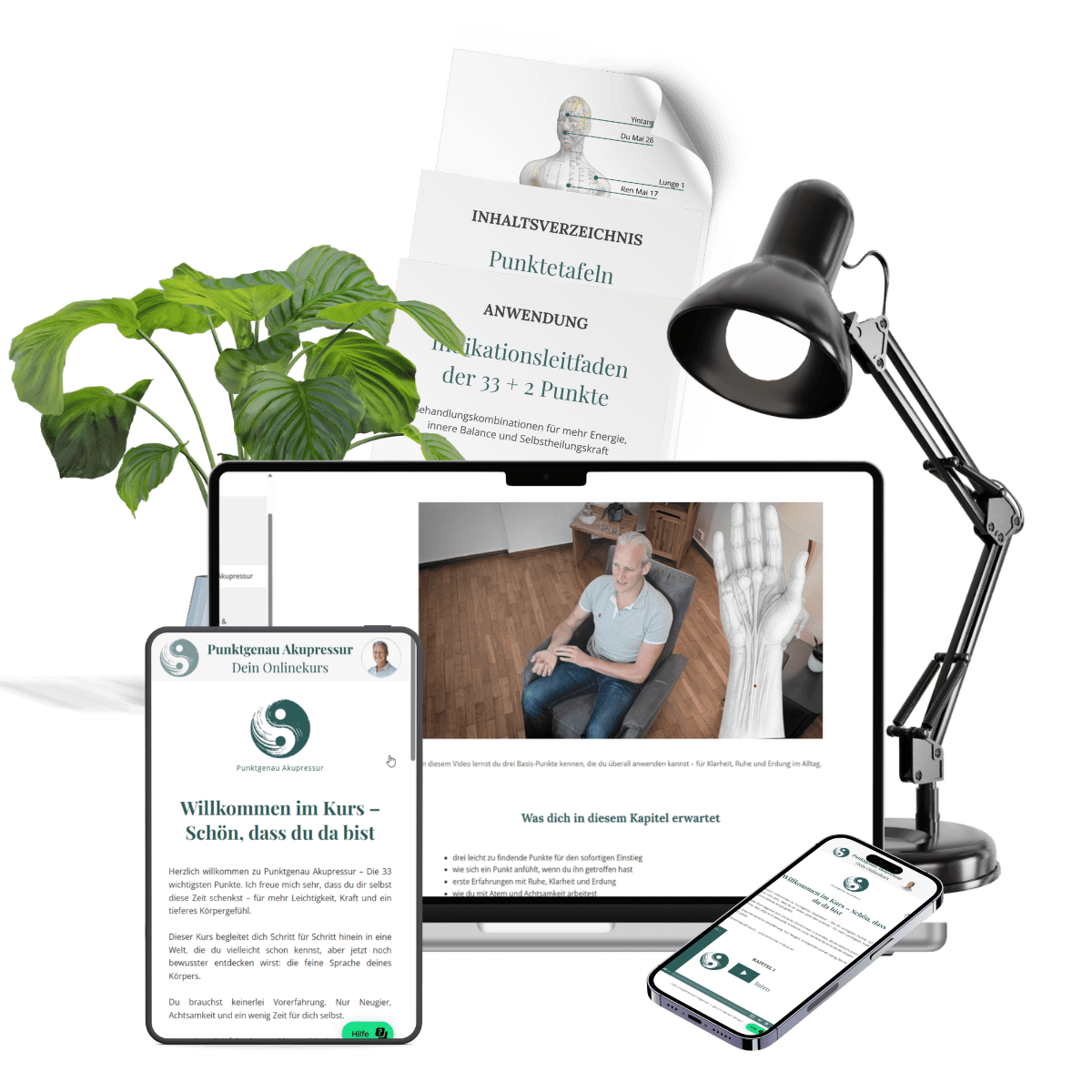 Onlinekurs Punktgenau Akupressur