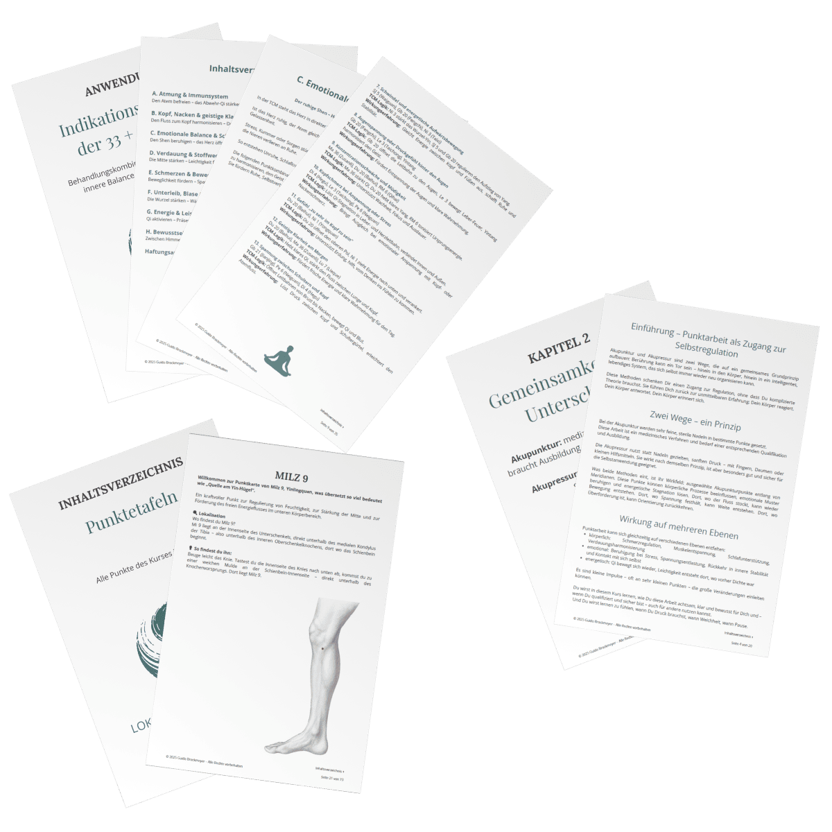 Einblick in die Kursmaterialien